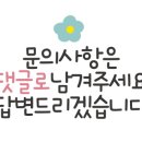 무양반려동물병원 네이버블로그