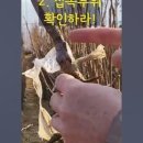법인귀농의신