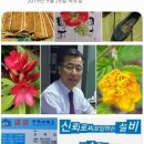 세븐일레븐(김해진영주천점) 이미지