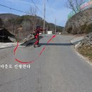 계월농장 티스토리