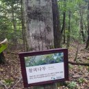 설악산오색마을 이미지