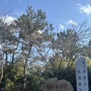 해동문구 | 부산 기장 가볼만한 곳 여자 혼자 여행 해동용궁사 후기