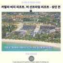 국제카크리닉 | 푸켓 카말라비치 리조트 후기 인생 숙소 추천