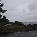 송정 해수락 이미지