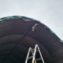 선명농장 이미지