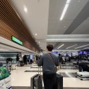 RR-31[공항로]-하-2 | 춘절에 대만여행🇹🇼