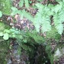 수리봉마을 이미지