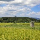 경주 보문사지 연화문 당간지주 慶州 普門寺址 蓮華文 幢竿支柱 이미지