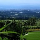 엘리시안CC 이미지