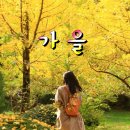 가을 이미지