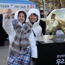 황금돼지 이미지