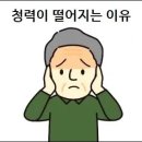 왜 청력이 떨어질까 청력이 떨어질 때 나타나는 증상 이미지