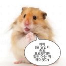 이소원 | Nov,Dec. 나이 1살 반품할게요. 환불은 필요없어요.