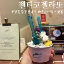 젤티코
