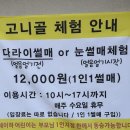 호저로 | 원주 아기랑 겨울 원주 고니골 눈썰매장