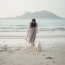 옹스냅 이미지
