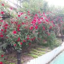 예향펜션 이미지