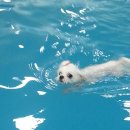 커멍커멍 이미지