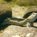 순천만의 추억 이미지