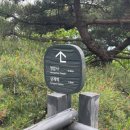 천보체육회 이미지