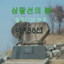 삼팔선의봄 이미지