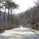 세천 공중화장실 이미지