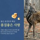 해맑은동의보감한의원 이미지