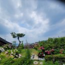 백제삼계탕 이미지