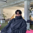 하이하이 이미지