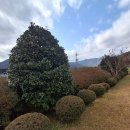 청도강변돌고래펜션 | 가족펜션: 청도강변돌고래펜션 - 맑은 공기와 귀여운 염소가 있는 힐링 여행!