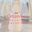 뱃살 삭제 엠파이어 드레스 피팅후기 : 셀럽비비