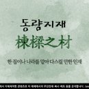 동량지재