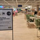 이케아 고양점 | 이케아 고양점 푸드코트 스웨디시 레스토랑 메뉴 후기