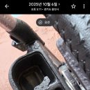 해피비해피 | 에버랜드 비해피쿠폰 사용 후기. 발급 조건과 사용법, 무료 재방문권 유효기간 주의사항
