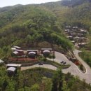 초원 숲속 야영장 이미지