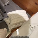 보홀 몰리리조트 비추천 후기 / 7월에 다녀온 생생후기 완전비추천하는 이유