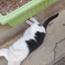 백령리조텔 이미지