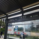 W13. [웨딩홀] 논현동 셀럽앤어셈 하객후기 | 하객 입장, 토요일 저녁 웨딩, 위치/웨딩홀/뷔페 솔직후기