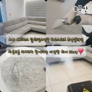 부산 동래구 명륜동 쇼파청소 반려견 털 먼지 곰팡이 소파 천갈이 대신 하우스위프