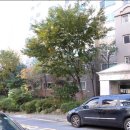 U-그린치과의원 이미지