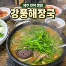 제주안덕농협주유소 | 콩콩팜팜 강풍해장국 제주 안덕 선지해장국 내장탕 총정리