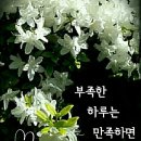 행복한하루 이미지