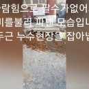 사거리수도공사 - 687 | 사거리수도공사
