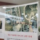 진도개패밀리 이미지