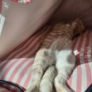 연세제일소아청소년과의원 이미지