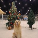 멍글멍글 이미지