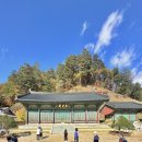 강원도 오대산 선재길 전체 코스와 쉬운 트레킹 방법 소개, 주차 팁, 버스 정보 그리고 2024 단풍 현황