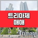 더숲부동산중개법인주식회사 이미지
