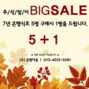 우리 행초 이미지