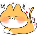 금고양이 이미지